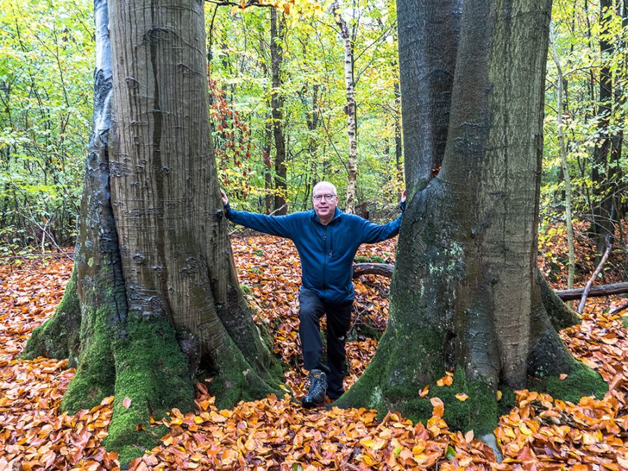 Bosrijk gebied Bosrijk gebied