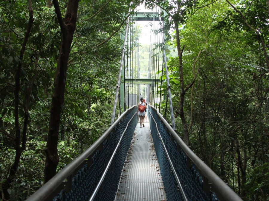 Hangbruggen Singapore