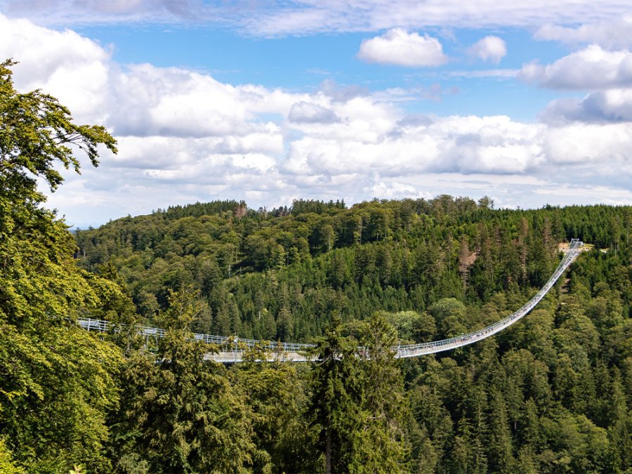 Skywalk in Willingen Skywalk in Willingen