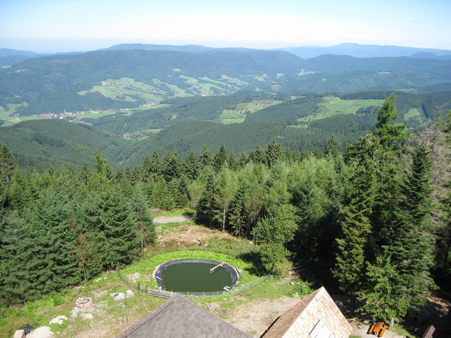 Uitzicht vanaf de Brandenkopf
