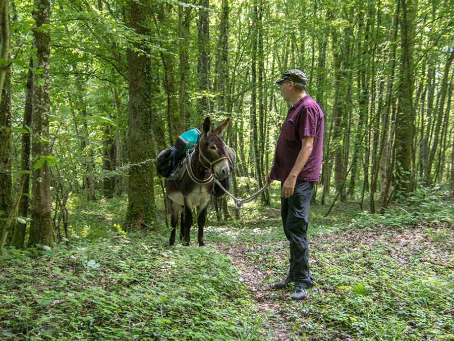 Wandelen met ezel Franse Ardennen