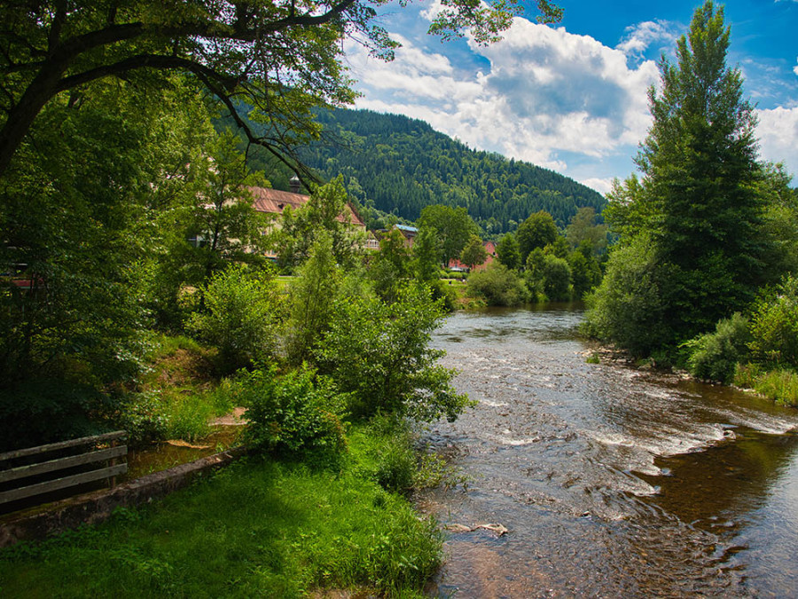 Natuur bij Wolfach