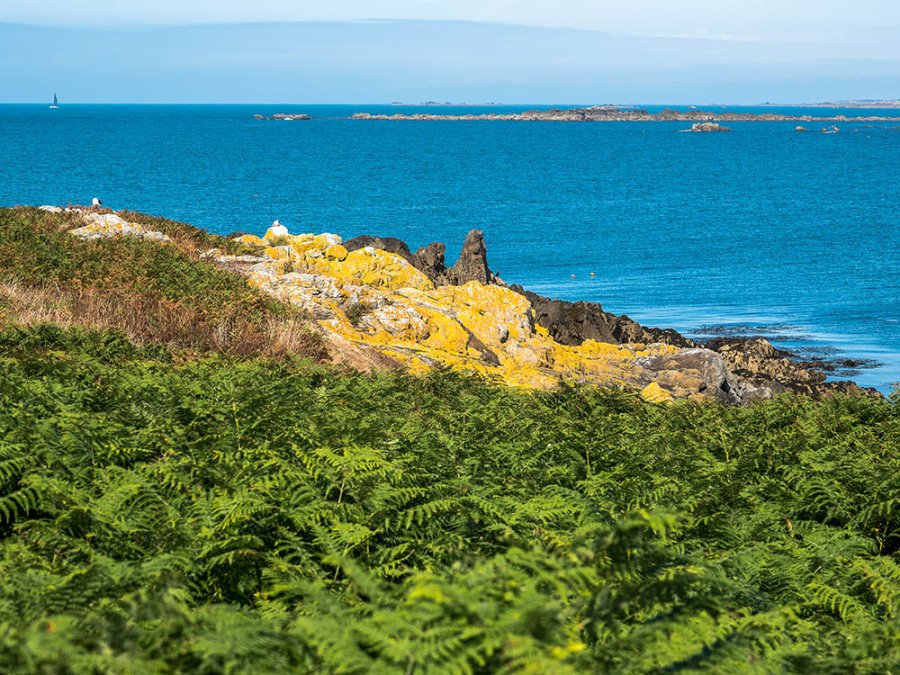 Landschap Lihou Island Landschap Lihou Island