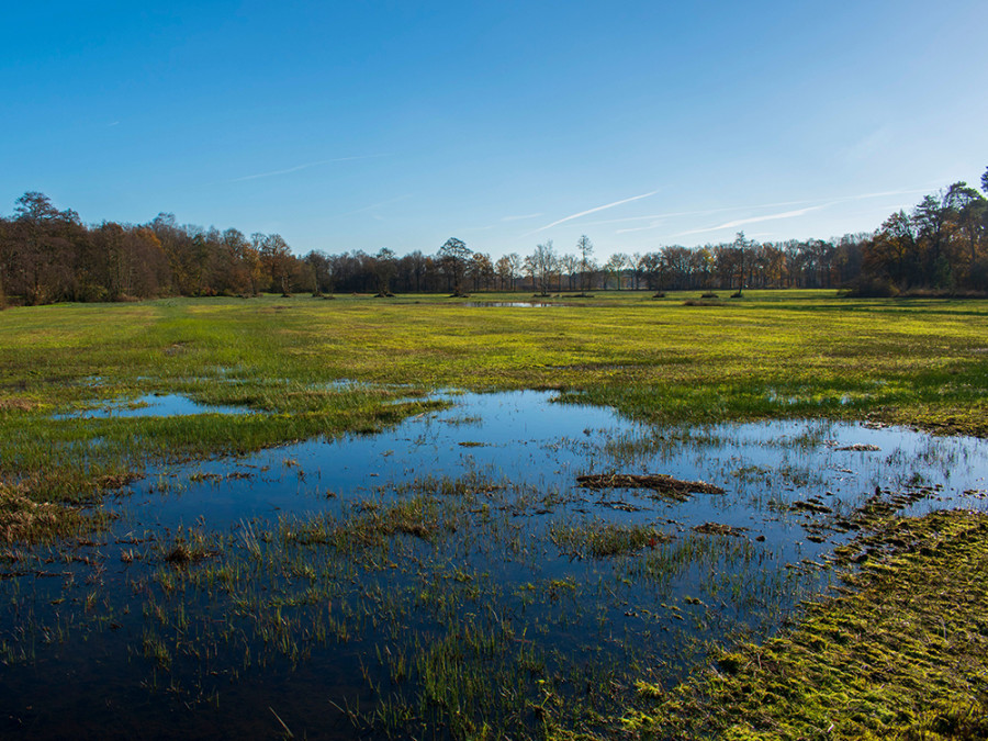 Landgoed Tongeren