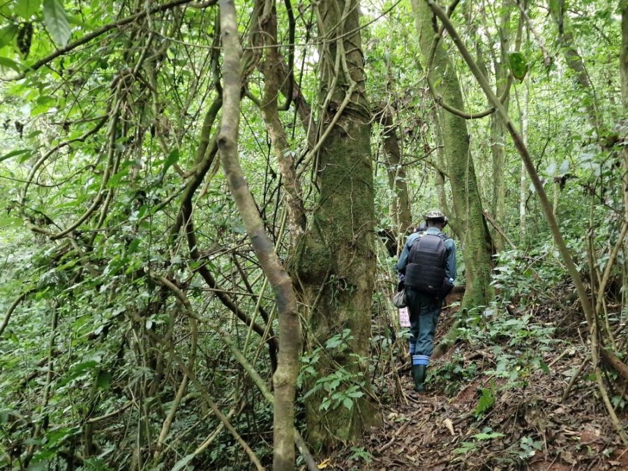 Trektocht Rwanda Trektocht Rwanda