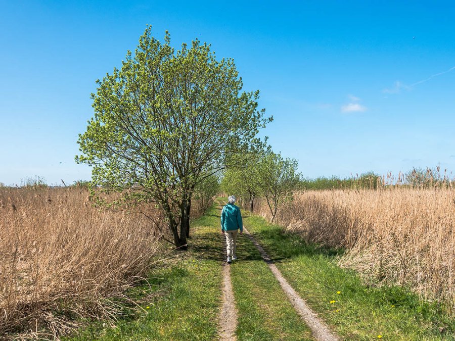Wandelen de Onlanden