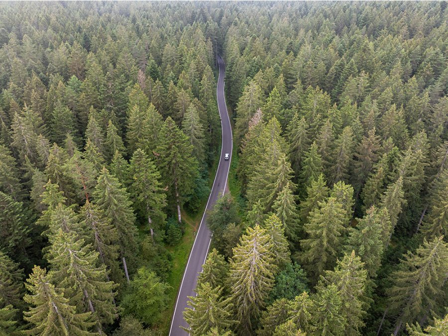 Roadtrip Zwarte Woud