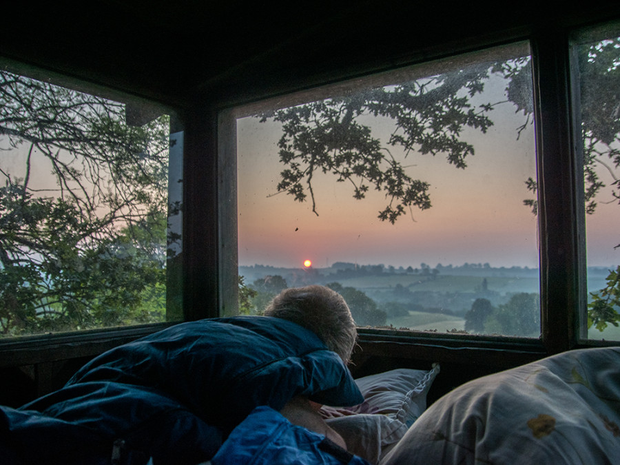 Boomhut zonsopkomst Boomhut zonsopkomst