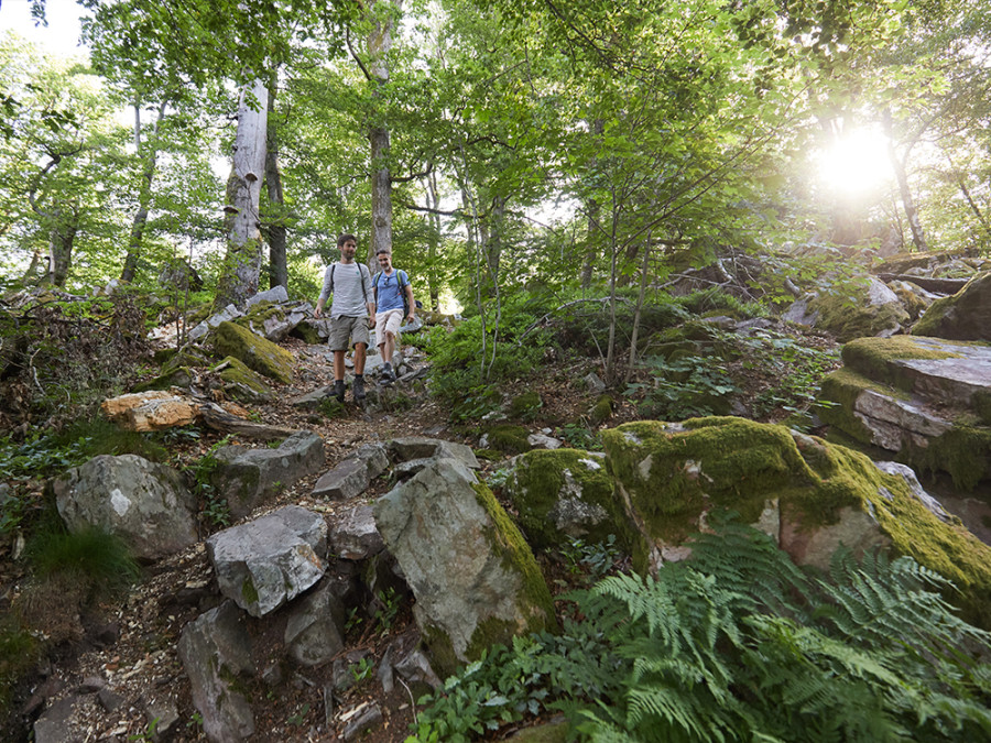 Duurzame wandelreis Saarland