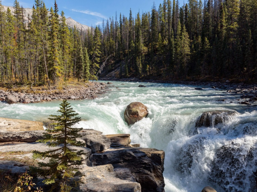 Sunwapta waterval