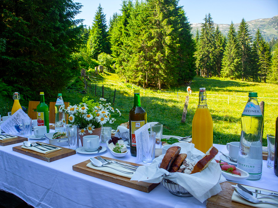 Wald:Brunch