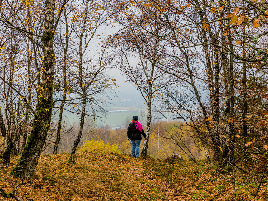 Ardennen met hond