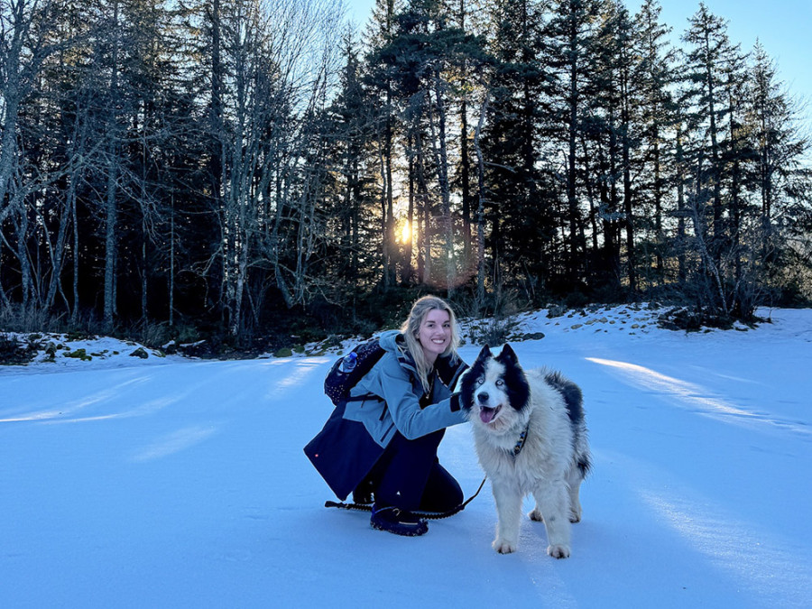 Wandelen met husky