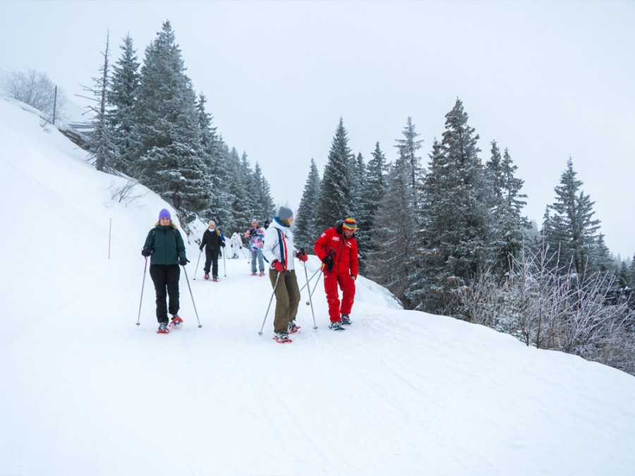 Sneeuwschoenwandelen