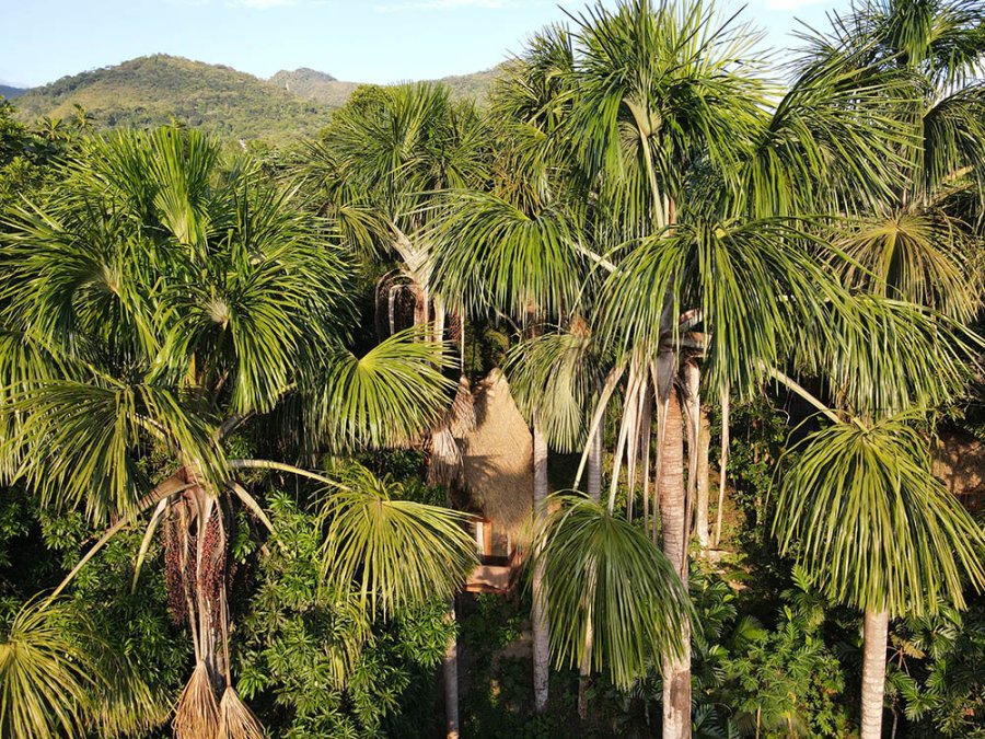 Puqio Ecolodge