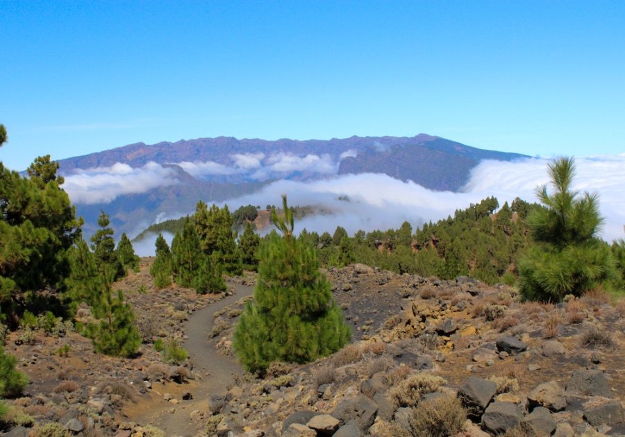 Ruta de los Volcanes