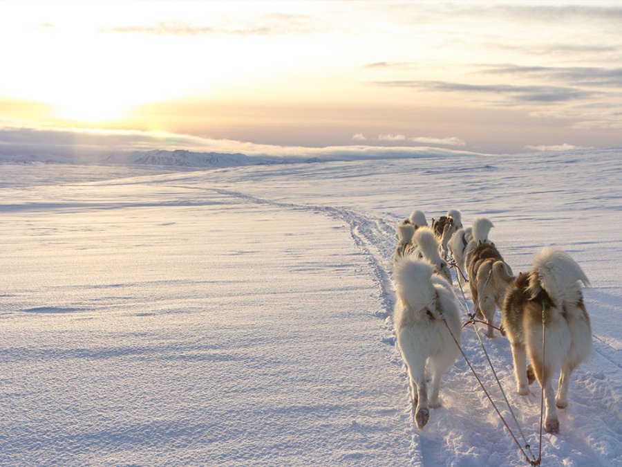 Winteractiviteiten IJsland Winteractiviteiten IJsland