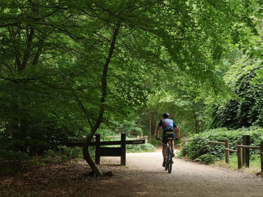 Fietsvakantie Champagnestreek Fietsvakantie Champagnestreek