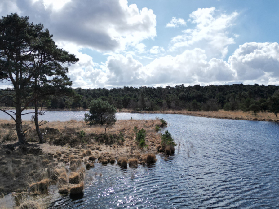 Kalmthoutse Heide wandelen