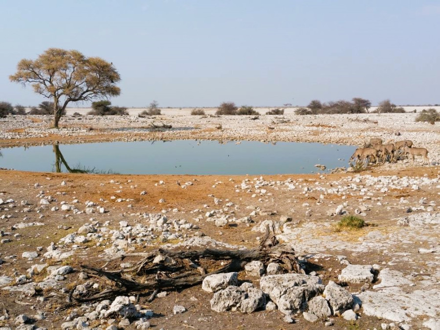 Etosha