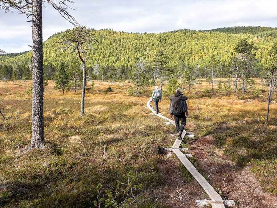 Vlonderpad Anderdalen