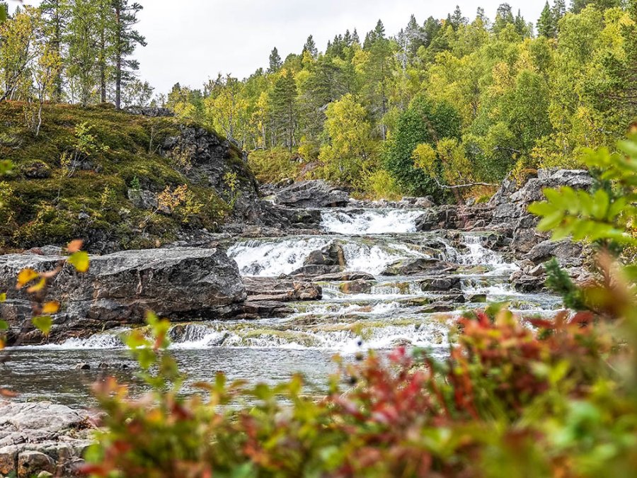 Fiskesti waterval