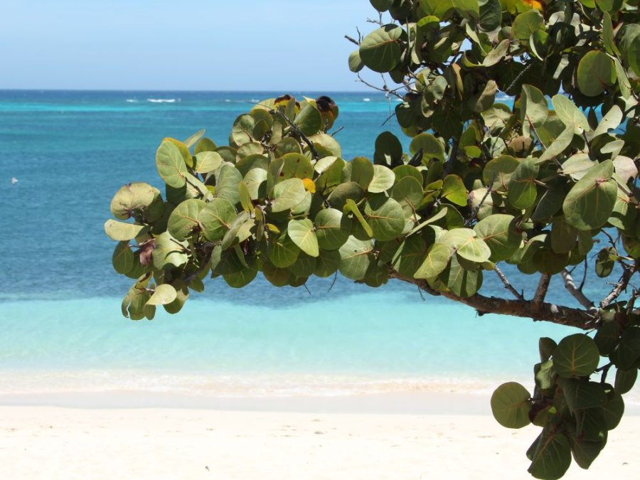 Eiland in Midden-Amerika Eiland in Midden-Amerika