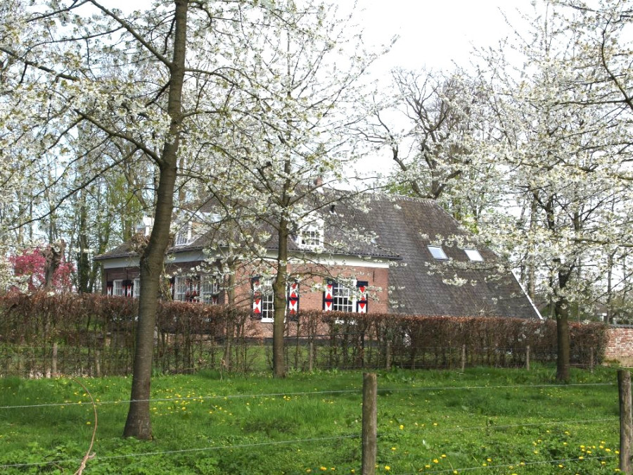 Zoelen Zoelen