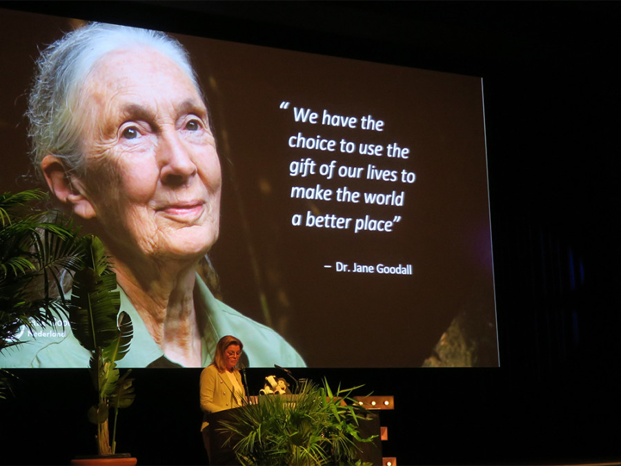 Koninklijke onderscheiding voor Jane Goodall Koninklijke onderscheiding voor Jane Goodall