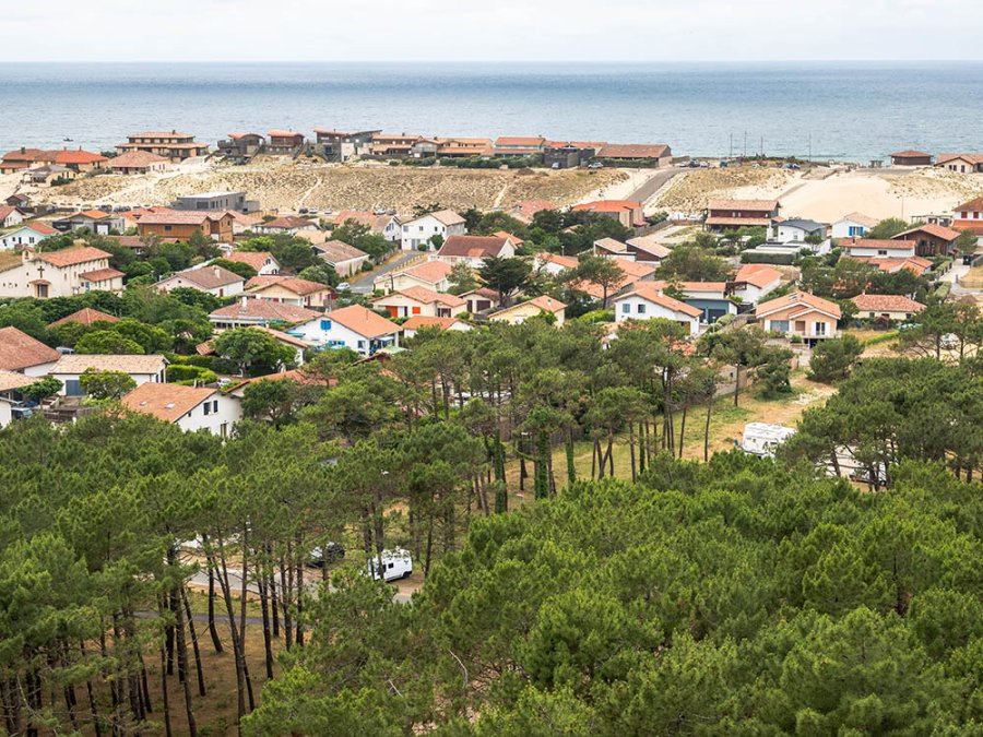 Dennenbos Landes