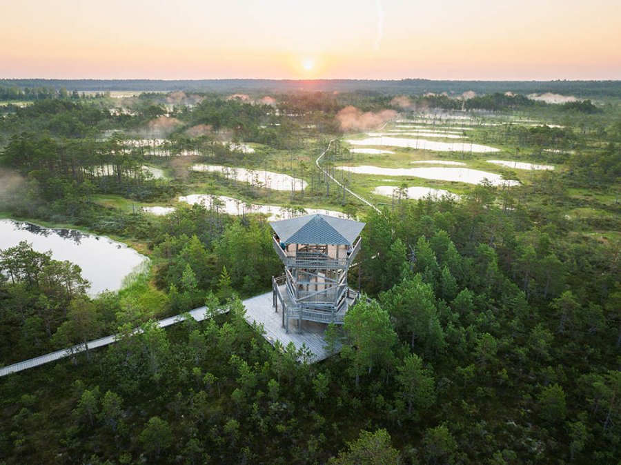 Viru Bog uitkijktoren Viru Bog uitkijktoren