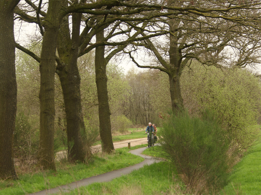 Fietsen bij Winterswijk