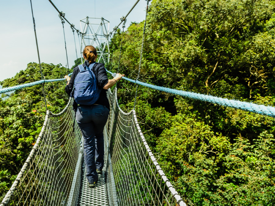 Actief in Nyungwe