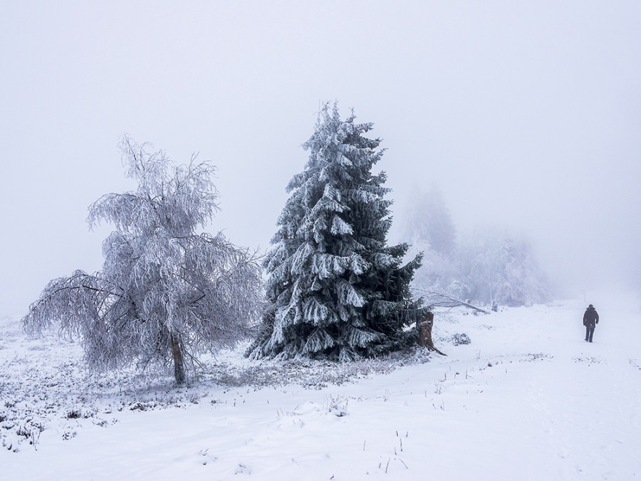 Winterwandelen