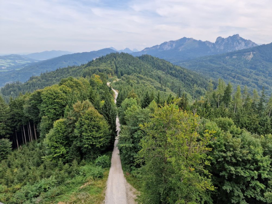 Wandelen Grünberg