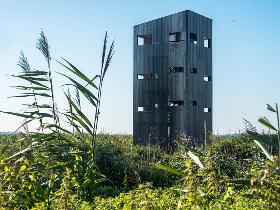 Uitkijktoren Oostvaardersplassen