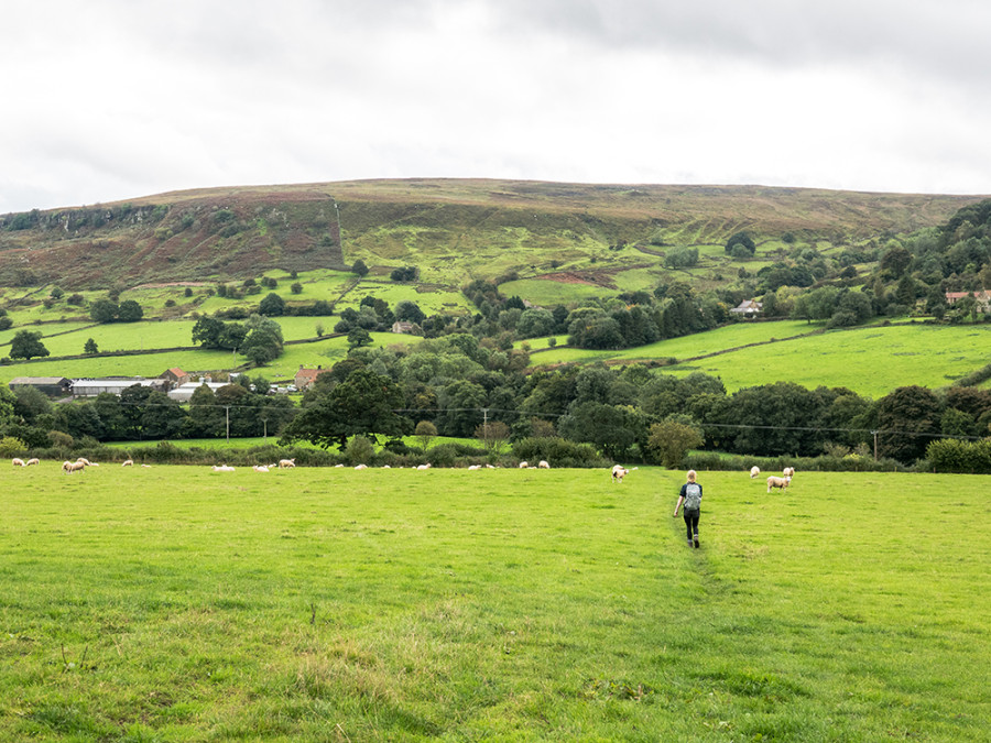 Country side