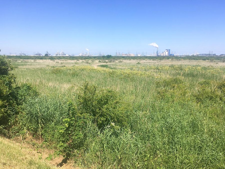Oostvoorne met Maasvlakte Oostvoorne met Maasvlakte