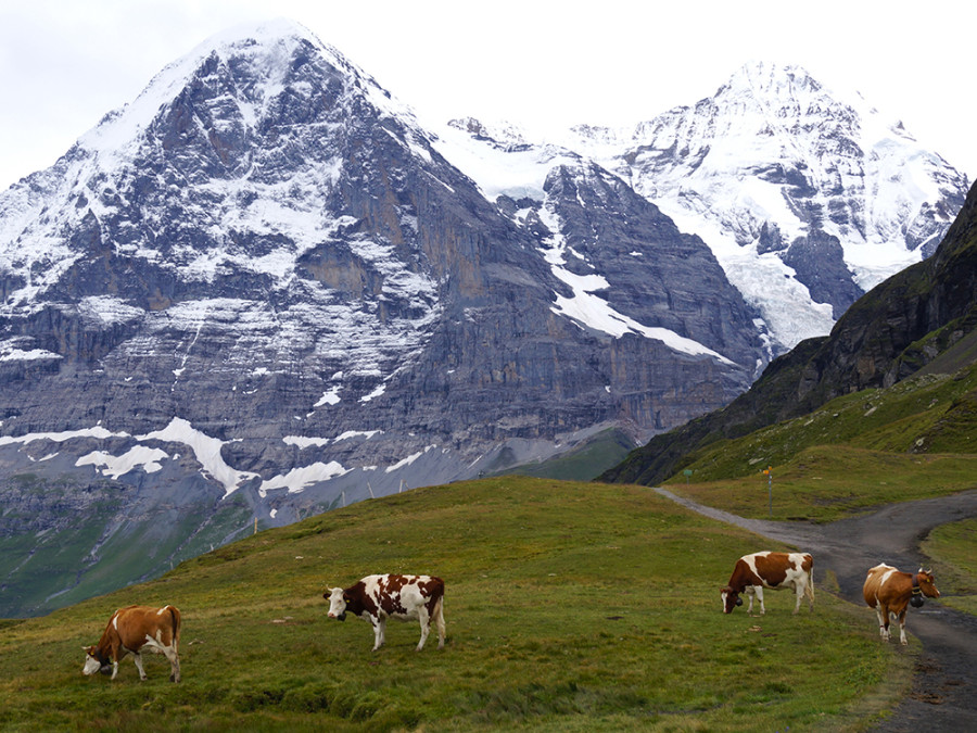 Wengen wandelen