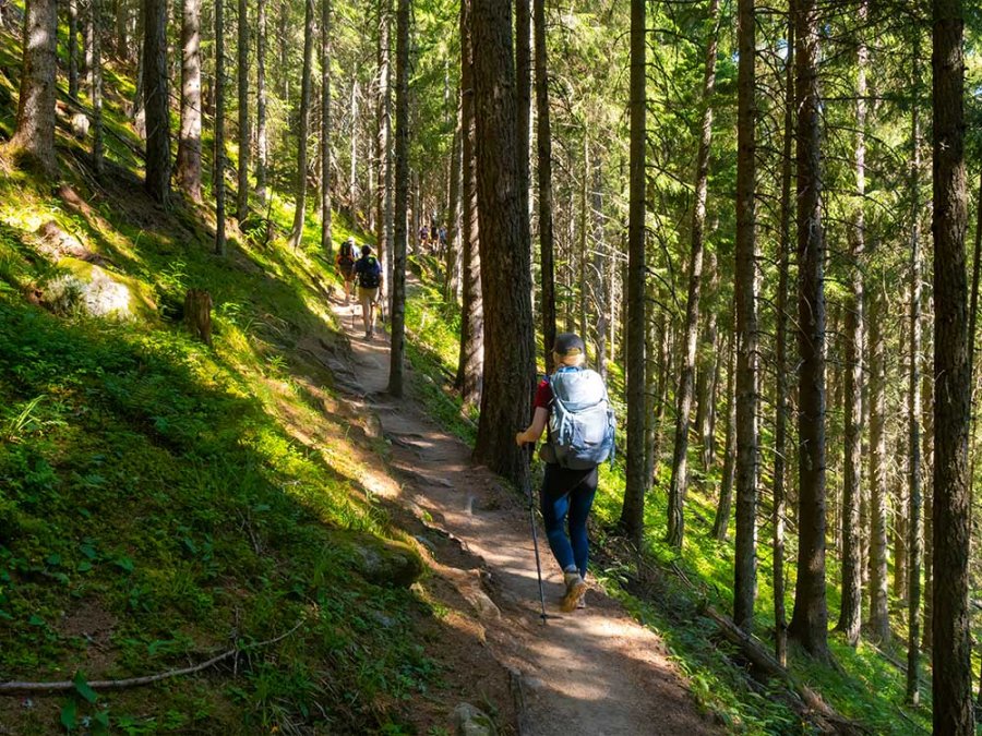 Wandelen bij Champex Lac