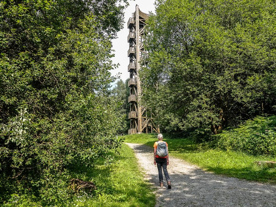 Hochsollingturm Hochsollingturm