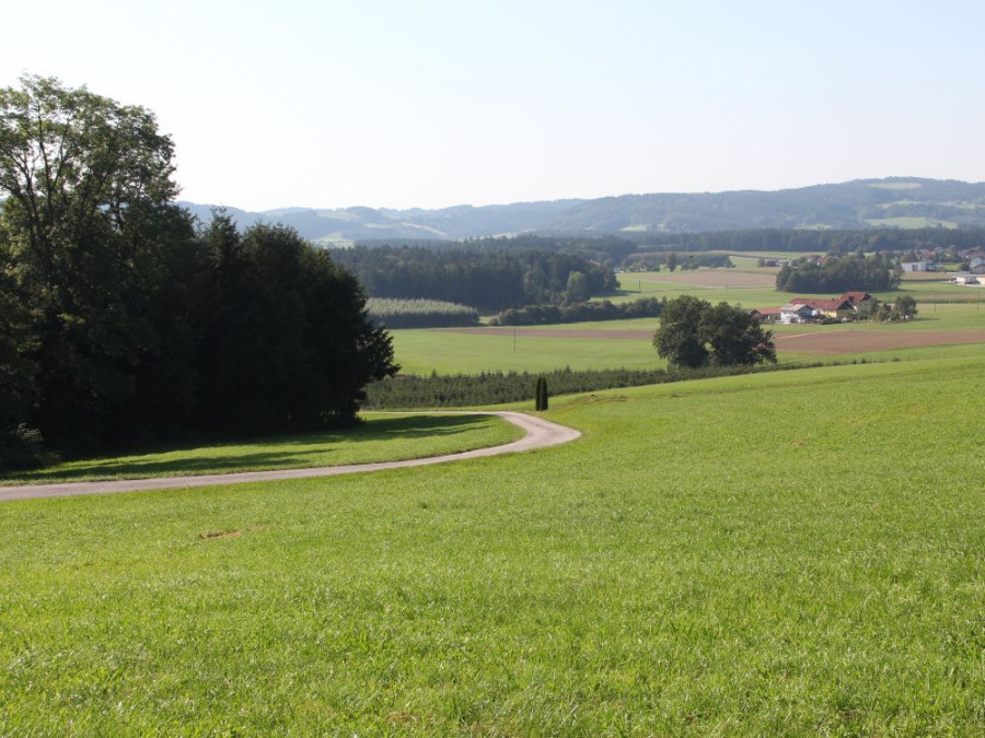 Fietspad in Oberösterreich