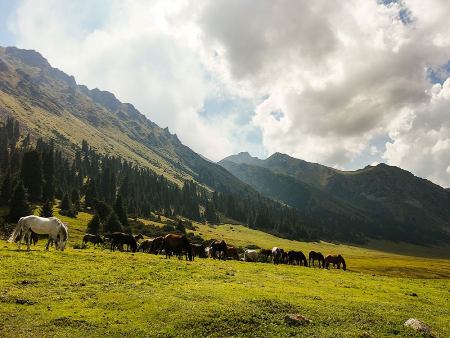 Kirgizië met Travelbase Kirgizië met Travelbase