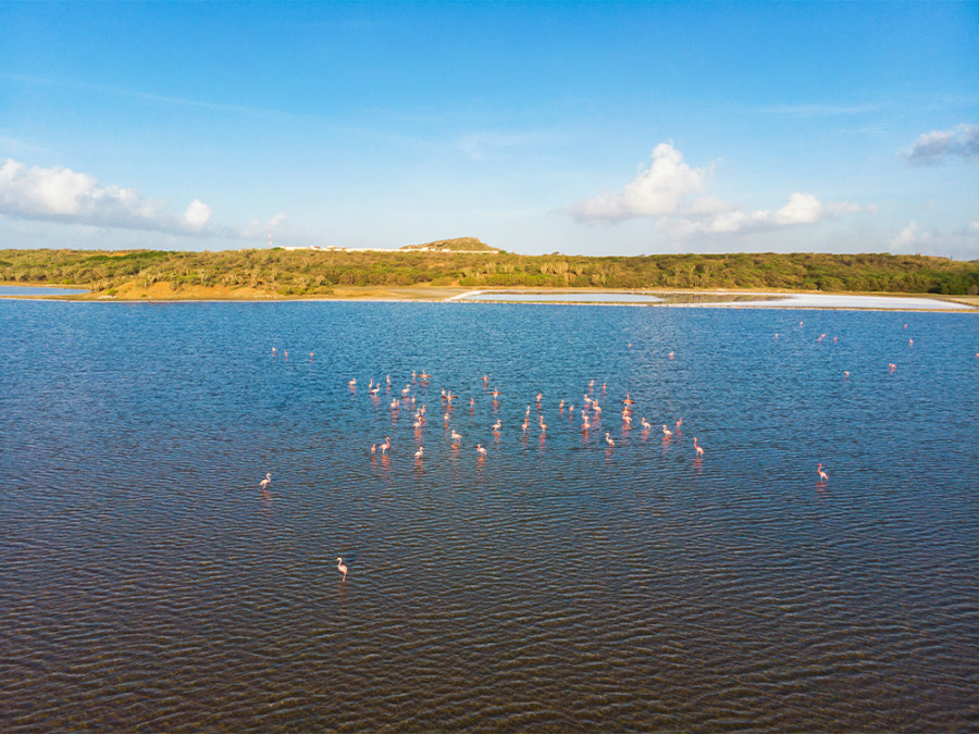 Zoutpannen Curacao