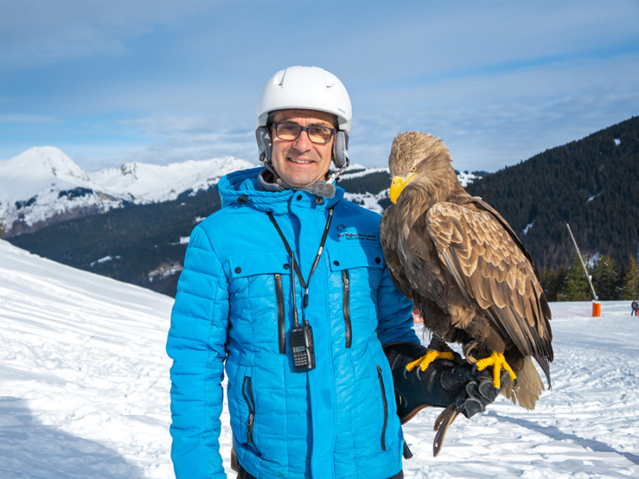 Roofvogels winter Morzine