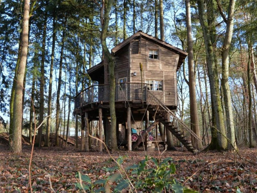 Boomhut in het bos Boomhut in het bos