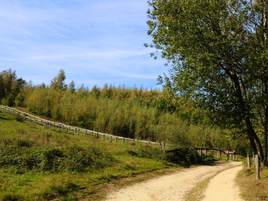 Natuur bij Rhenen Natuur bij Rhenen