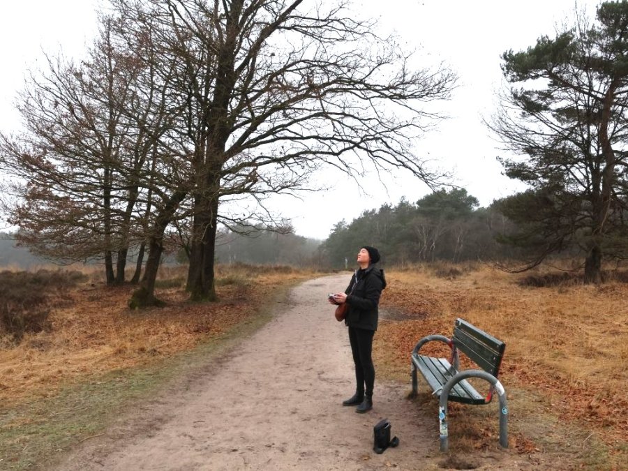 Wandeling bij Hoenderloo