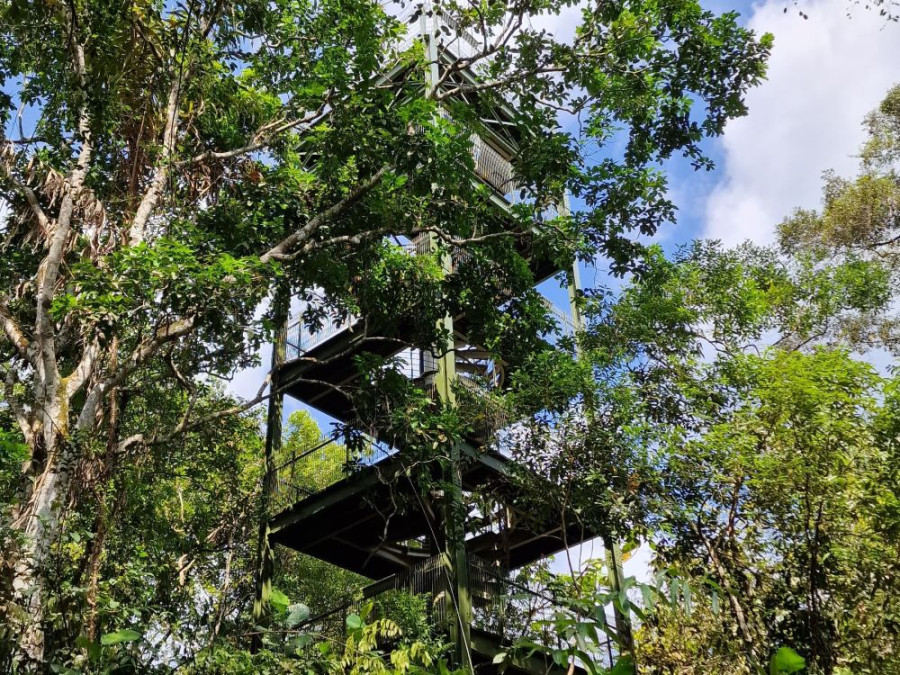 Toren in MacRitchie