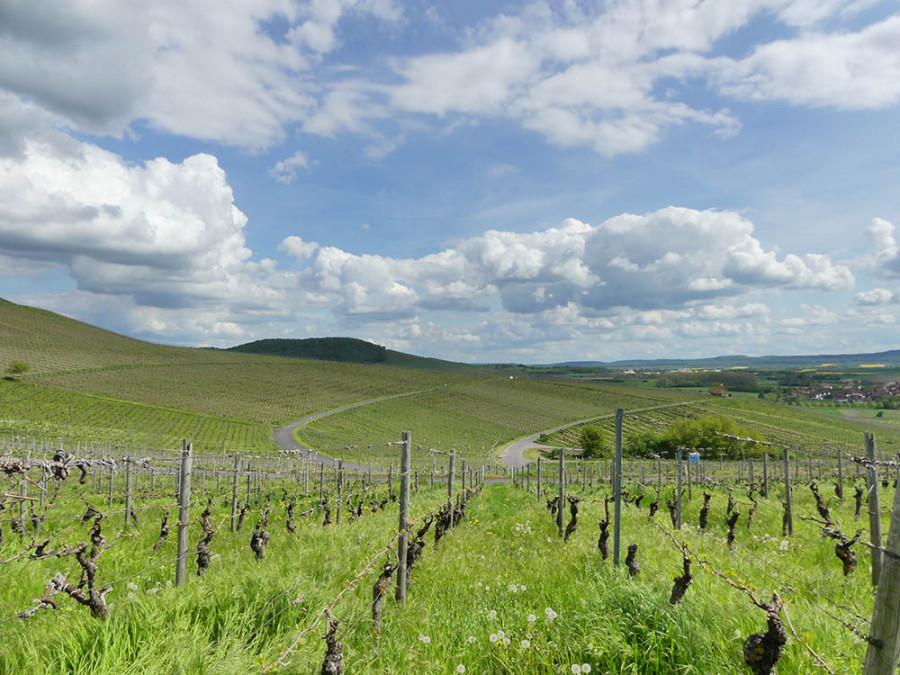 Steigerwald Steigerwald